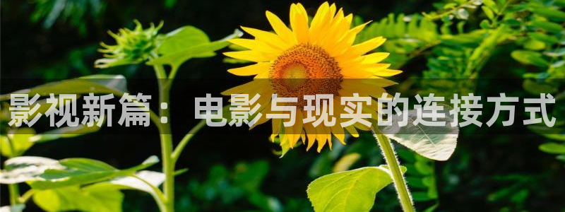 泡泡电影天堂：影视新篇：电影与现实的连接方式
