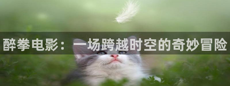 泡泡影视0：醉拳电影：一场跨越时空的奇妙冒险