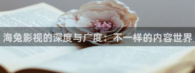 泡泡壁纸：海兔影视的深度与广度：不一样的内容世界