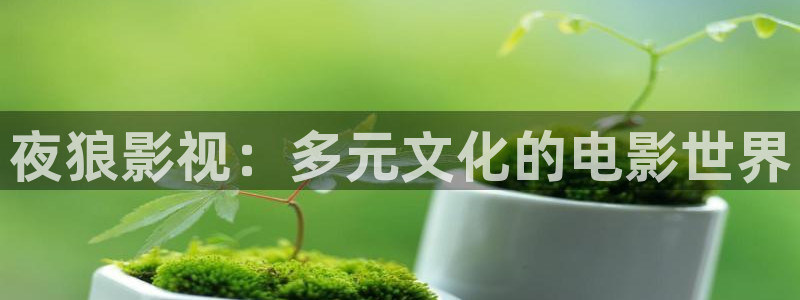 泡泡影视最新地址